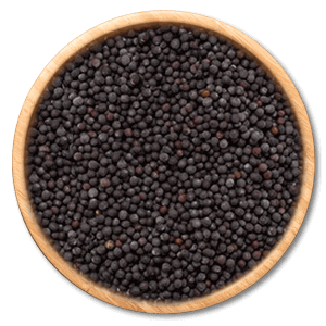 Mustard Seeds